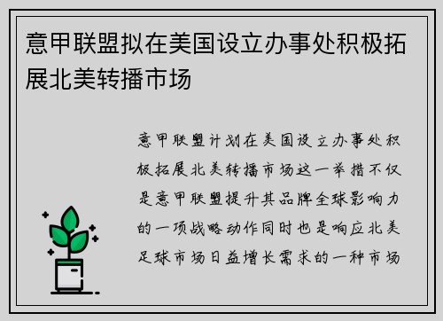 意甲联盟拟在美国设立办事处积极拓展北美转播市场 意甲联盟拟在美国设立办事处积极拓展北美转播市场