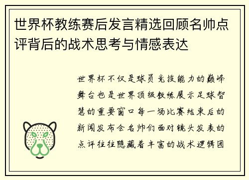世界杯教练赛后发言精选回顾名帅点评背后的战术思考与情感表达